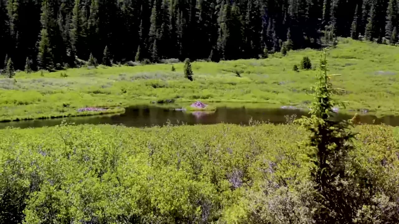 Chihuahua Lake Trail - Colorado Common Misconceptions :  Chihuahua Lake Trail