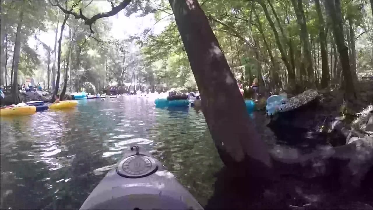 Ginnie Springs Trail - Florida Key Features or Elements :  Ginnie Springs Trail