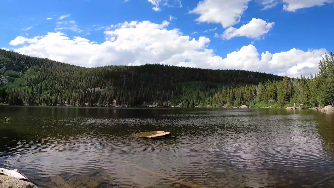Nymph Lake Trail - Colorado Key Features or Elements :  Nymph Lake Trail