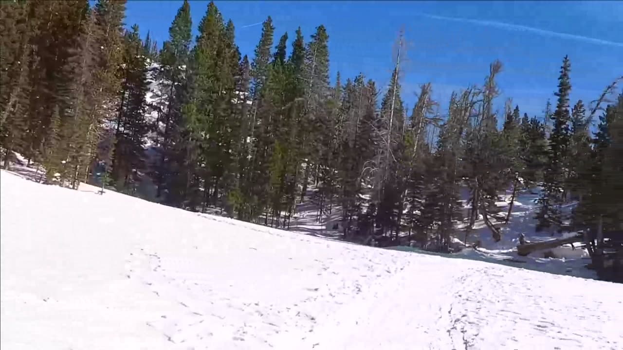 Emerald Lake Trail - Colorado How to Enjoy : Emerald Lake Trail
