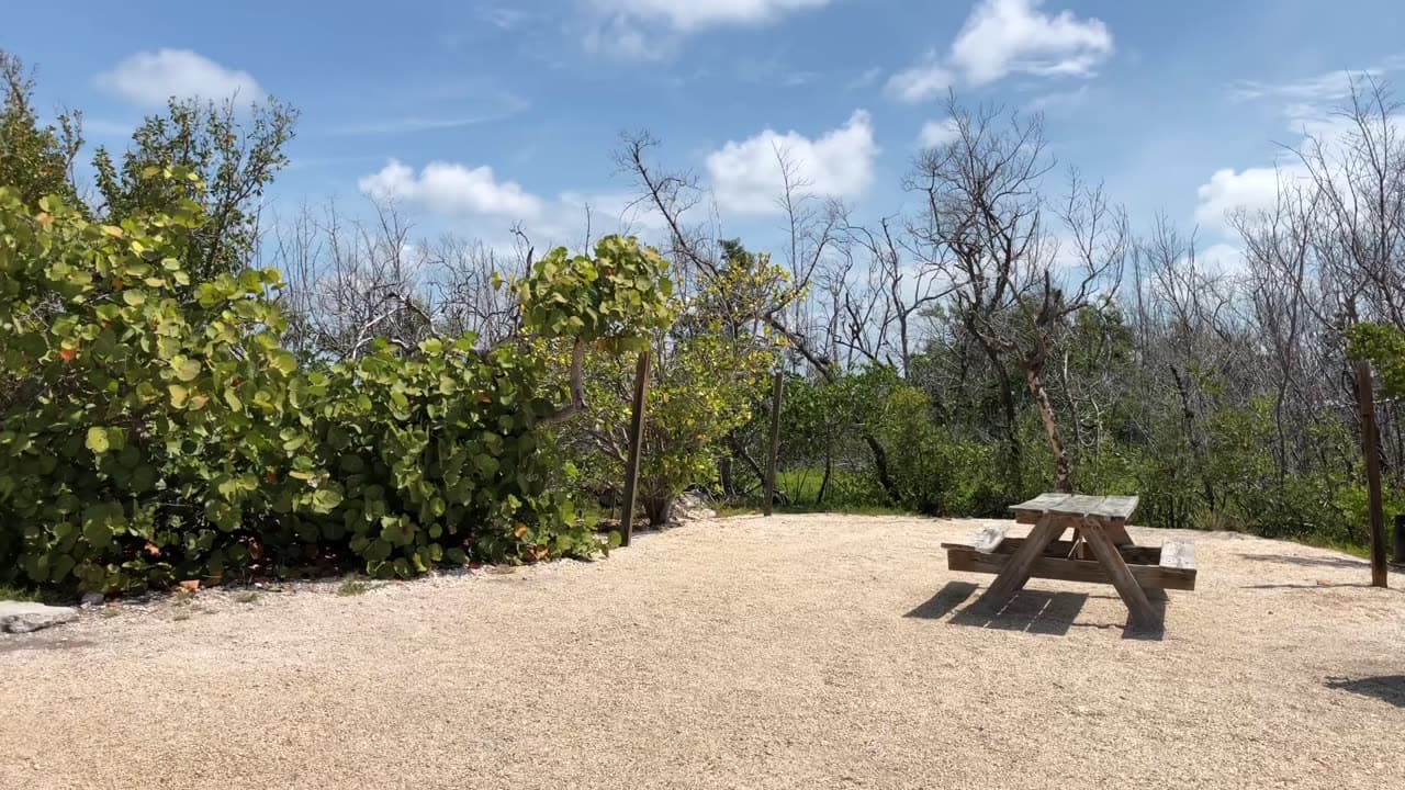 Bahia Honda State Park Scenic Overseas Highway
