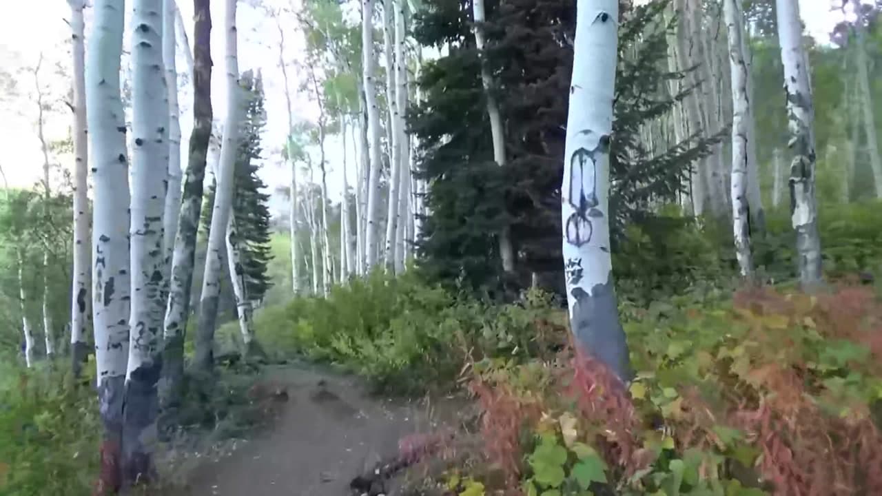 Booth Falls Hiking Trail - Colorado Key Features or Elements :  Booth Falls Hiking Trail