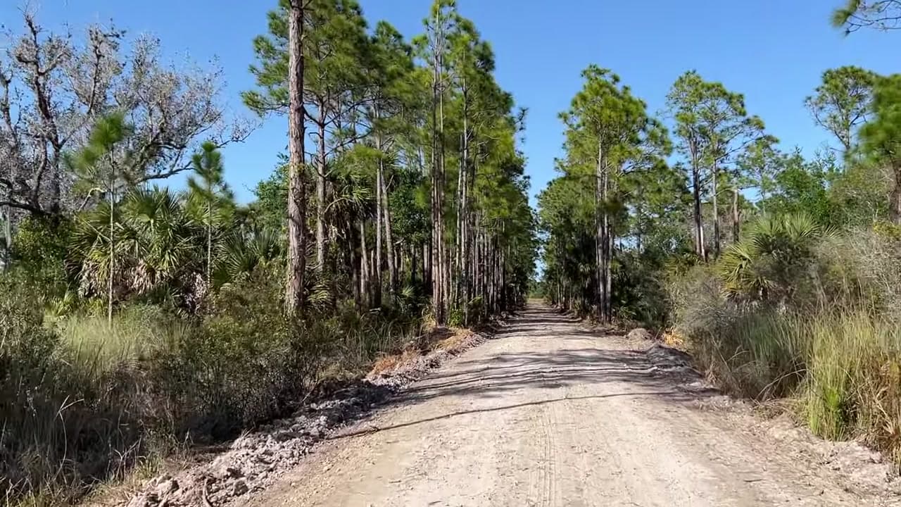 Okaloacoochee Slough State Forest - Florida Common Misconceptions :  Okaloacoochee Slough State Forest