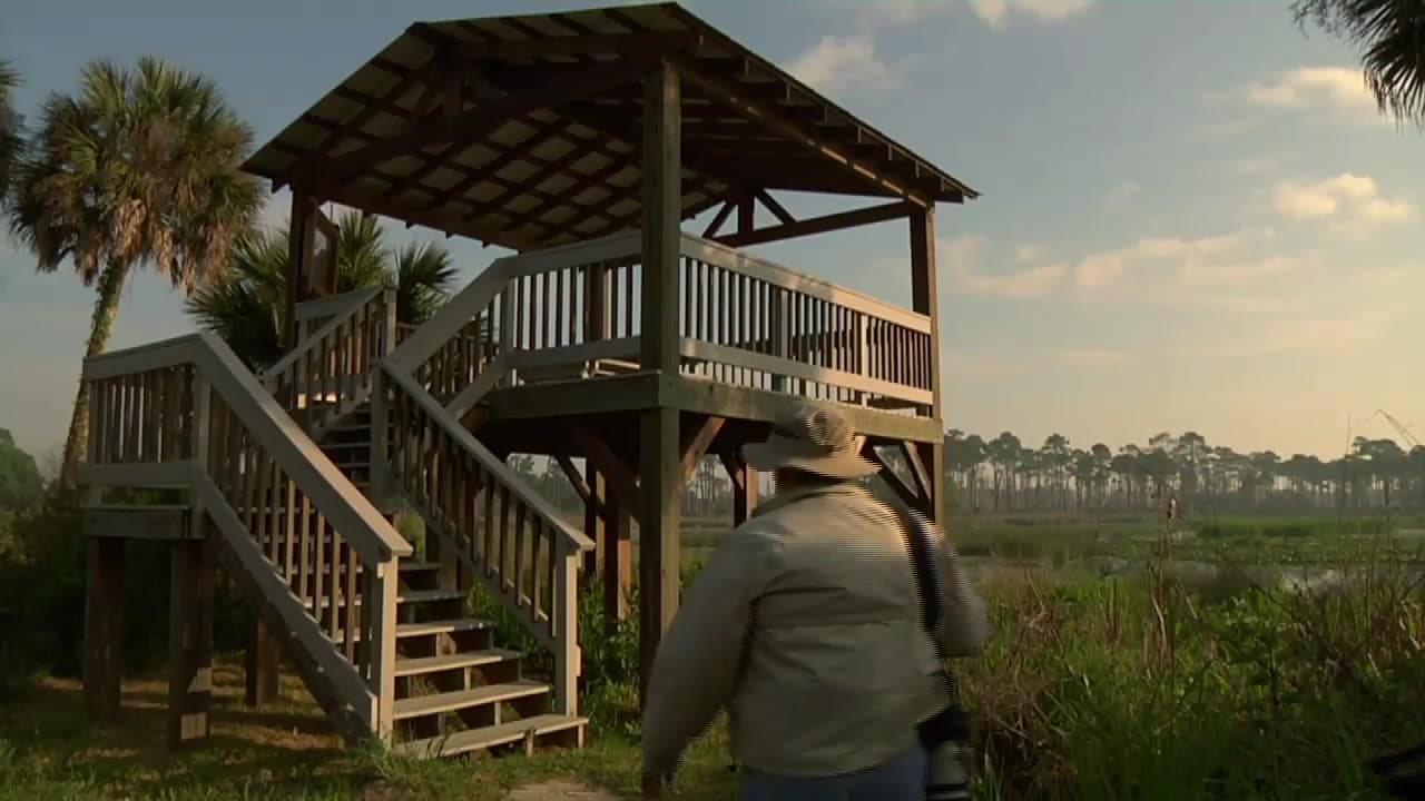 St. Marks National Wildlife Refuge Conclusion